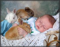 Bunnies